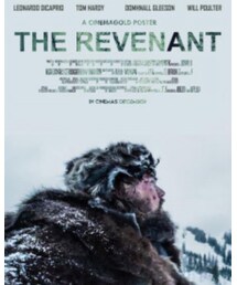 レヴェナント | その他