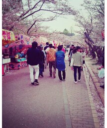 葉桜になってた😭 | その他