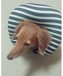 あら、ピッタリ✨ | その他