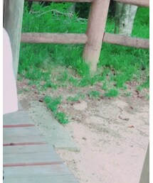 B.C STOCK | ハット