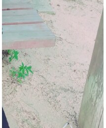 オローネ | Tシャツ/カットソー