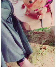 B.C STOCK | ハット