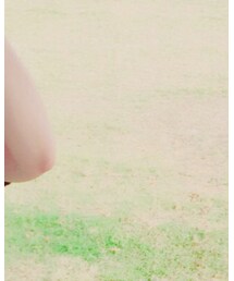 WEGO | Tシャツ/カットソー