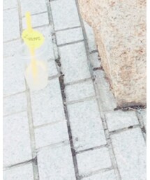 レモネード | その他