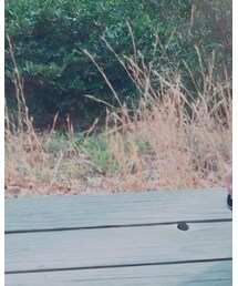 HARE | ブーツ