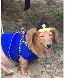 嬉しいらしい🎩 | その他