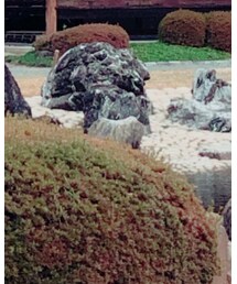 KBF | チェスターコート