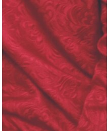 稀有咖喱 | ワンピース/ドレス