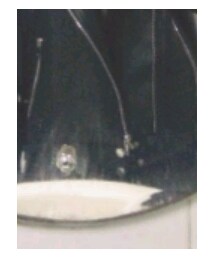 tb所得 记不得辽 | ジャケット/アウター