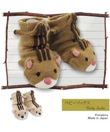 POMPKINS | ベビーソックス シマリス(ソックス/靴下)