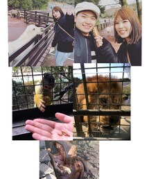 大分旅行 | 大分旅行(その他)