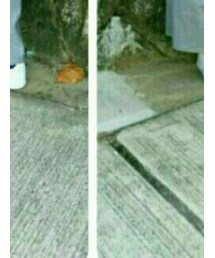 adidas | スニーカー