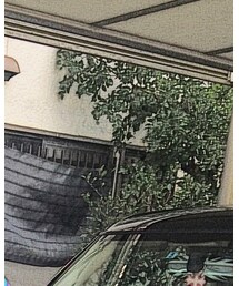 MISHKA | ニットキャップ/ビーニー