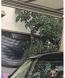 MISHKA | サングラス