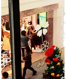 Bershka | デニムパンツ