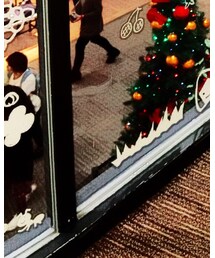 SUPRA | スニーカー