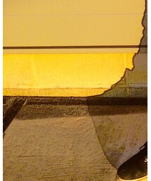 SUPRA | スニーカー