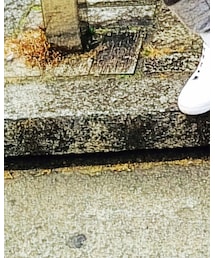 SUPRA | スニーカー