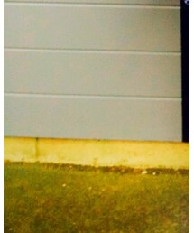 SUPRA | スニーカー