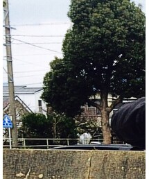 COMUNITY×STUDIUM | Tシャツ/カットソー