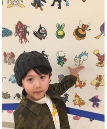 手のりパチリス | その他