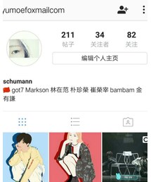 Ins-Schumann | その他