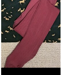 GU | タイツ/ストッキング