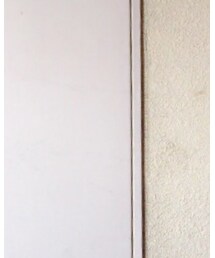 ZARA | Tシャツ/カットソー