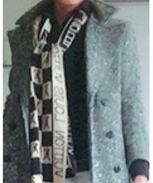 LOUIS VUITTON | マフラー