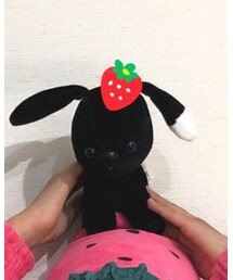 ライカ犬 | おもちゃ