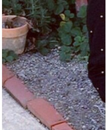 Paul Smith London | シャツ/ブラウス