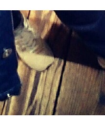 RESOLUTE | デニムパンツ