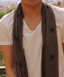 시리즈 | マフラー