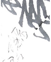 STUSSY | Tシャツ/カットソー