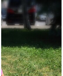 BREEZE | ワンピース