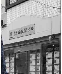 BACKBONE THE BASIC | シャツ/ブラウス