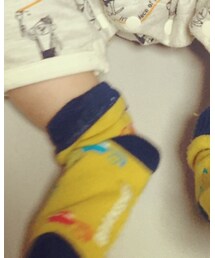 BRANSHES | ソックス/靴下