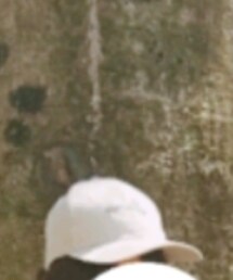 3coins | キャップ