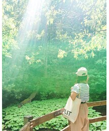 池の前で | その他