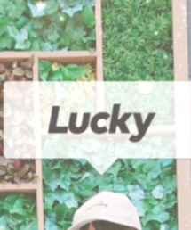 3coins | キャップ