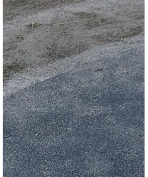 LOGOS | その他アウター