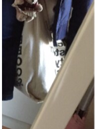 American Apparel | トートバッグ