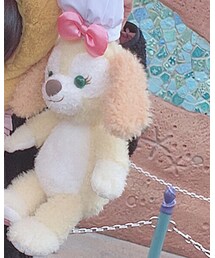 Disney | その他雑貨
