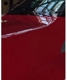 ジャパンレッド | その他