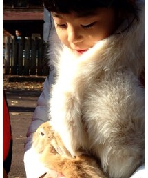 UNIQLO | マフラー