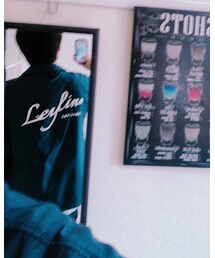 Leyline | 後ろはこんなん(ナイロンジャケット)