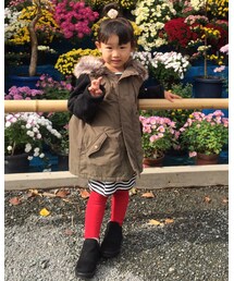 GLOBAL WORK | モッズコート