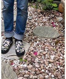 VANS | スリッポン