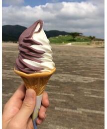 平尾台名物？🍦 | その他