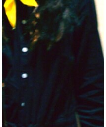 niko and... | ワンピース